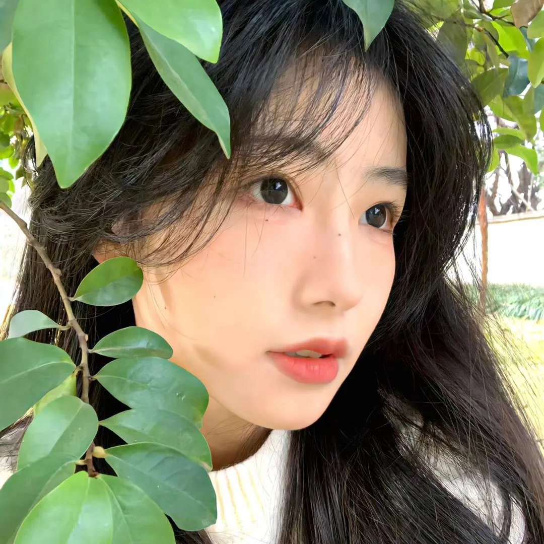 心动的信号第七季